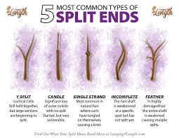 Types Of Split Ends And What They Mean About Your Hair In 2020 Split Ends Split Ends Hair Hair Breakage