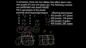 Four boxes are needed for the punnett square. How To Solve Problems And Find Genotype Phenotype As Result Of The Cross Youtube