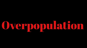 This place have 10 paper sample about scp 1053 including paper sample, paper example, coloring page pictures, coloring page sample, resume models, resume example, resume pictures, and more. Scp 1053 Overpopulation Youtube