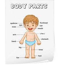 Kids learn best when they don't know they are learning! Pin On Projects To Try