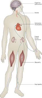 Neurological Complications Of Chronic Kidney Disease Nature Reviews Neurology