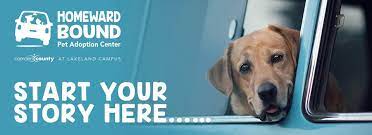 We give homeless animals a second chance through our rescue, shelter, and adoption programs. Homeward Bound Pet Adoption Center Home Facebook