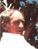 Pollen Analysis of Eucalypts