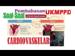 We did not find results for: Pembahasan Soal Ukmppd Kardiovaskular Hipertensive Heart Disease Takiaritmia Henti Jantung Youtube