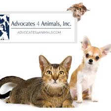 Also, their new location is very nice!! Groomingdales Pet Salon Day Spa Home Facebook
