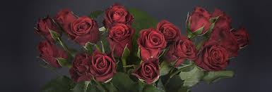 Maybe you would like to learn more about one of these? Blumen Welt Blumen Lieferservice In Hamburg Blumen Welt