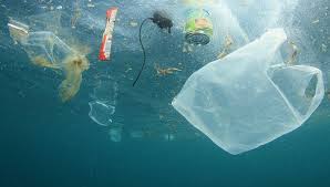 Resultado de imagen de LA PROHIBICION DE LOS PLASTICOS EN AUSTRALIA