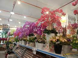 The biggest ever warehouse sale for artificial flowers & plants is coming. Romantika Plaza Bangi Perdana Awan Di Langit Biru