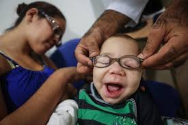 Best photographs of the day: open-air opera and a leopard spotted