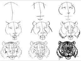 How to draw animals playlist: Easy Tiger Face Drawing For Kids Novocom Top