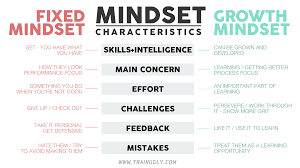 the growth mindset matrix train ugly