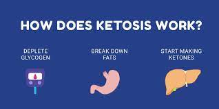 How long does it take to get into ketosis? How Long Does It Take To Notice Weight Loss From Intermittent Fasting Weightlosslook