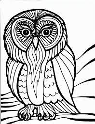 Check spelling or type a new query. Free Printable Owl Coloring Pages For Kids Owl Coloring Pages Animal Coloring Pages Scary Halloween Coloring Pages