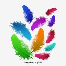 feather feather vector wings png transparent clipart image and psd file for free download feather vector clip art wings png