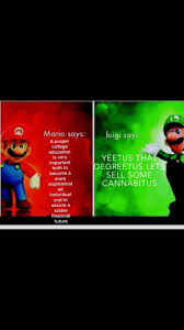 What Are The Mario Brothers Views On Education Funny Relatable Memes Stupid Funny Memes Funny Memes