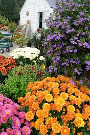 Check spelling or type a new query. 61 211 Cottage Garden Photos Free Royalty Free Stock Photos From Dreamstime