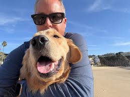 Hi! I'm new to this group. I recently joined because I recently started a  dog training business in Orange. My company is Gentle Canine Training, I  want to help my neighbors and