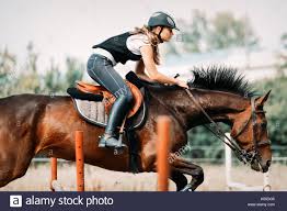 Download Download This Stock Image Picture Of Young Pretty Girl Riding Horse K05dg5 From Alamy S Library Of Millions Of High Resoluti Girl Riding Horse Riding Horses