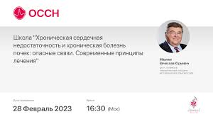 Школа хсн и хроническая болезнь почек опасные связи современные принципы  лечения