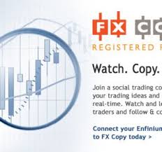 Fxhour Forex Brokers Reviews Signals Forex Brokers Forex Forex Signals