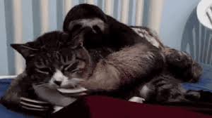 Shhh Don T Fight It Just Let It Happen Gif On Imgur
