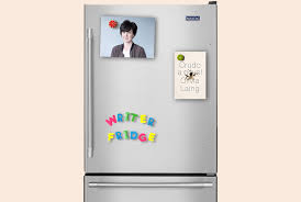 He is the only man to have escaped the country's most terrifying penal colonies. The Paris Review Writers Fridges Olivia Laing