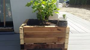 Bac A Fleurs Fait Maison Bois Exotique Bois Exotique Bac A Fleurs Maison Bois Sa contenance offre un espace de culture intéressant pour planter plusieurs types de fleurs. bac a fleurs fait maison bois exotique