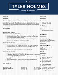 This free functional resume template meets all the standards for creating a quality resume. Blue Bell Table Formatted Core Functional Resume W White Text Functional Resume Template Resume Template Word Resume Template