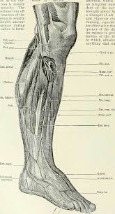 The Real Cause Of Nighttime Leg Cramps Research Review Saltwrap Nighttime Leg Cramps Leg Cramps What Causes Leg Cramps