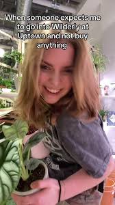 The hardest escape room ever for plant lovers… #planttok #victoria #pl...