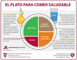 Spanish Healthy Eating Plate Healthy Eating Plate Healthy Eating Pyramid Healthy Plate