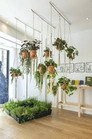 Hanging plants are a popular design choice indoors and outdoors, but knowing where and how to hang plants can be tricky. Pin On Roslinki