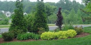 The so called quickstart mode of deploying landscape consists of installing all the necessary this is very handy for quickly checking out a new version of landscape when you don't have juju, but. Designer Jim Ross Meadows Farms Landscaping Services In Virginia Dc Maryland And West Virginia Arborvitae Landscaping Farm Landscaping Evergreen Landscape