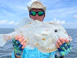 Image result for Ottelia fischeri