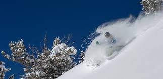 The larger surface area of the nose helps to keep the snowboard tip up on top of the powder. How To Ski Powder A Guide By Ski Com