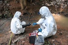 The kuala koh national park is situated at the kelantan border and is within the district of gua musang. Impossible For Kelantan Govt To Be Unaware Of Mining Area In Kuala Koh The Leaders Online