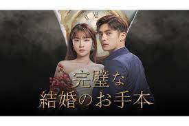 韓国ドラマ『完璧な結婚のお手本』を視聴する方法｜あらすじ・キャスト・動画配信サービス - 海外ドラマNAVI