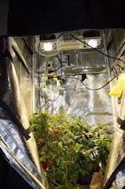 Vero 29 gen 7 efficiency. Vero 29 Diy Build The Autoflower Network