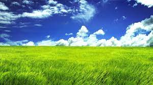 Gambar langit awan awan hijau pemandangan alam padang rumput. Wallpaper Sinar Matahari Alam Langit Bidang Horison Padang Rumput Menanam Pertanian Polos Halaman Rumput Tanaman Habitat Lingkungan Alami Wallpaper Komputer Ekosistem Keluarga Rumput Sawah 1920x1080 Cynster 185142 Hd Wallpapers