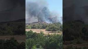 Η φωτιά ξέσπασε σε δασική έκταση, σύμφωνα με την πυροσβεστική. Bnt4xxjzm8gcmm