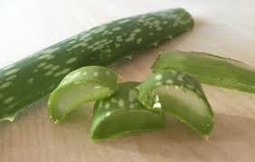 Aloe Vera Jeli Nasil Kullanilir Cilde Ideal Nemi Saglayan Aloe Vera Maskesi Nasil Yapilir Aloe Veranin Faydalari Nedir Akneli Ciltte Aloe Bitki Dogal Receteler