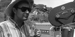 The Beginner's Guide: Stanley Donen, Director
