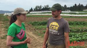 C'est peu comparé aux 170 ha de blé, colza, orge ou pois exploités par. 750 000 De Revenus Sur 4 Hectares Youtube