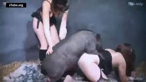 Forum and chat for zoophile people. Artofzoo Pig Girls Yasmin And Silvy Boar Sex Zootube Videos