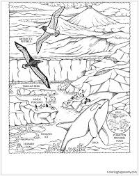 38+ adelie penguin coloring pages for printing and coloring. Race To The South Pole Coloring Pages Nature Seasons Coloring Pages Coloring Pages For Kids And Adults