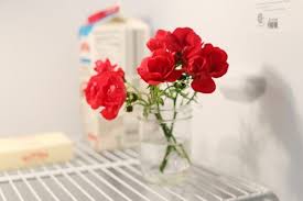 Check spelling or type a new query. How To Take Care Of Roses In Vases Ehow Rose Care Rose Vase Vase