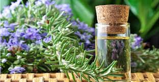 Rosemary Has Many Well Known Health Benefits But Scientists Are Now Studying Its Specific Effects With Reg Huiles Essentielles Cheveux Romarin Chute De Cheveux