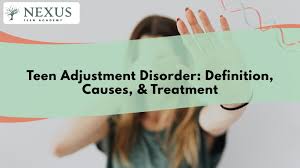 Image result for Adjustment Disorder