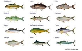 Image result for Scombroid Fish Poisoning