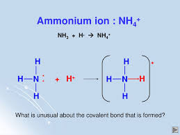 We did not find results for: As Chemistry Coordinate Or Dative Covalent Bonding Nh4 Al2cl6 Co H3o Ppt Download